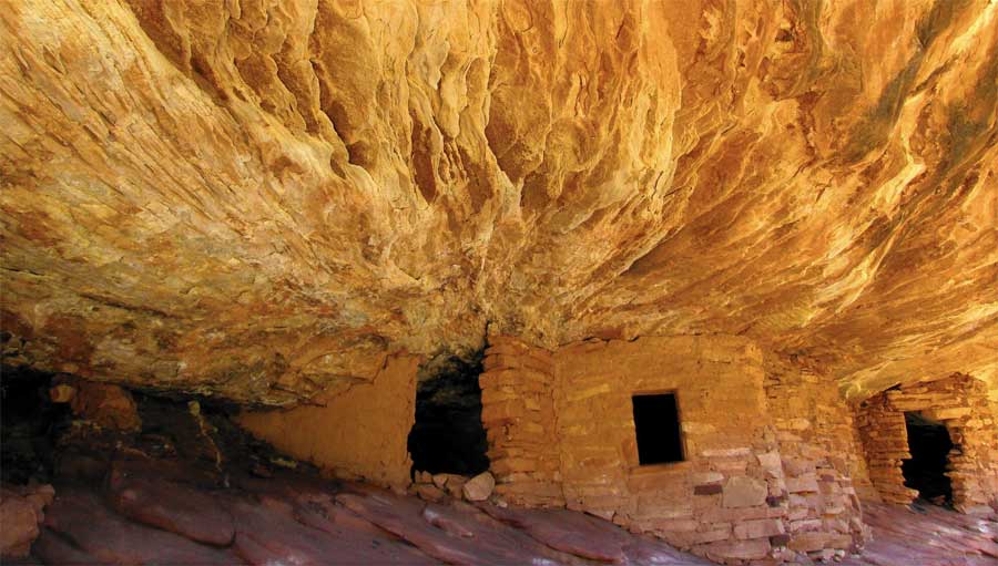 bearsearsdavid-kellylatimes